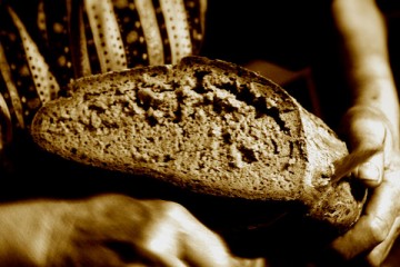 brood