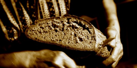 brood