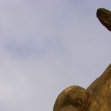 Jouw stem telt bij Nederlands filmfestival