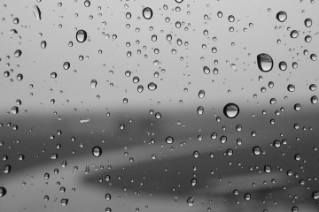 rain-grayscale-condensation-fresh-hd-wallpaper