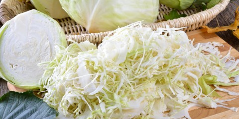 shutterstock_87254683