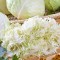 Recept voor pittige zuurkoolschotel (eigenlijk een heel raar recept)