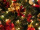 kerstboom