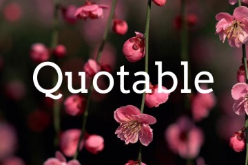 quotable4