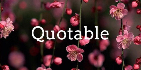 quotable4