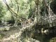 dsc012591