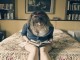 Chicklit