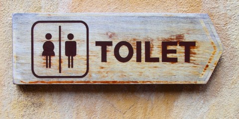 toilet