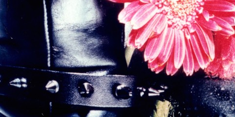 punk laars bloem